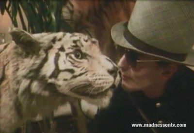 Woody Madness Ligne Rock Belgian TV